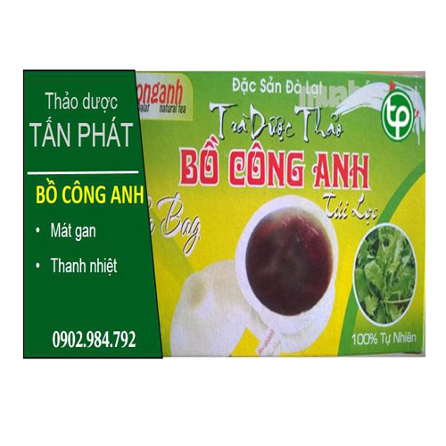 Trà bồ công anh túi lọc